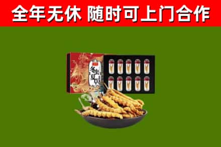 嘉兴烟酒回收冬虫夏草礼盒.jpg
